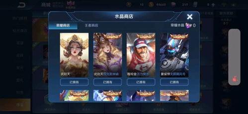 瑶的荣耀典藏最新爆料,神秘皮肤即将亮相，荣耀之战一触即发！